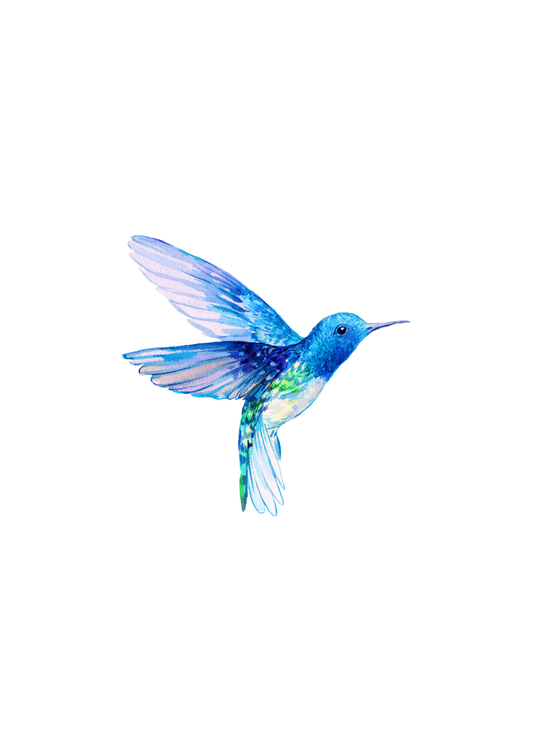 Kaart Kolibri