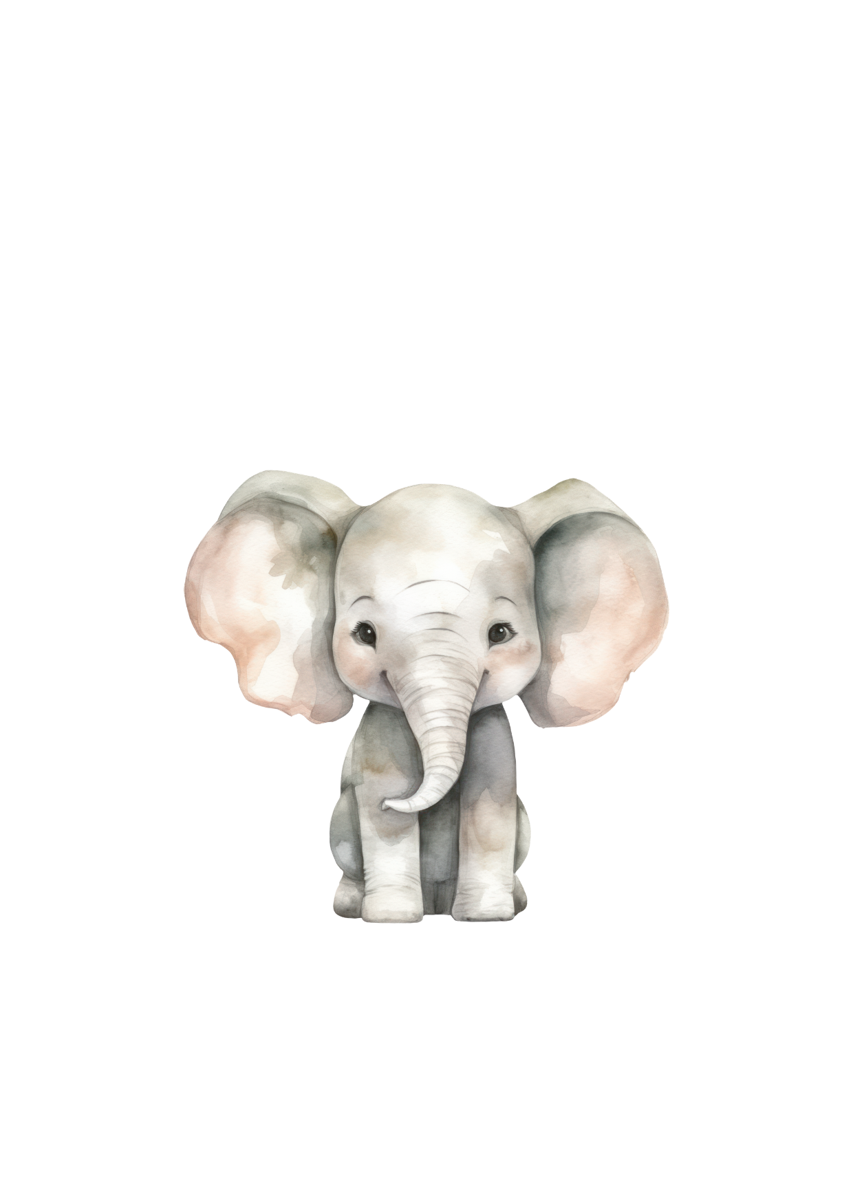 Kaart Olifant